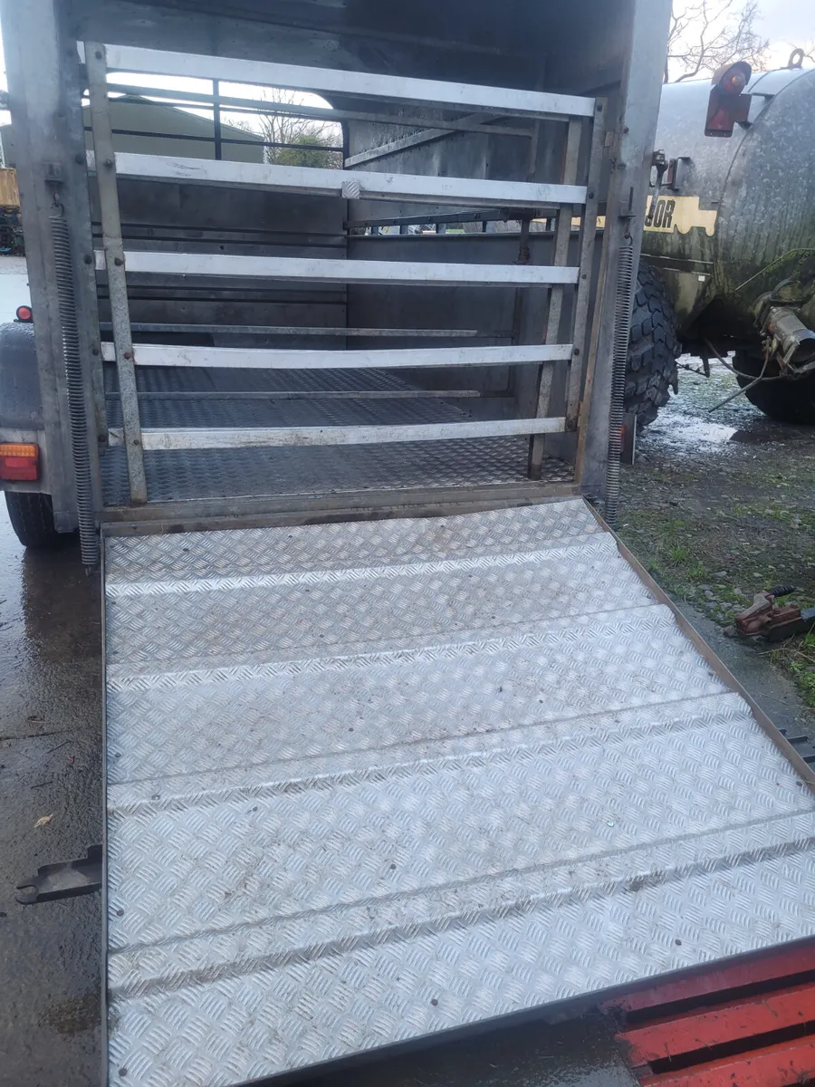 Murphy 12ft x 5ft 10 Cow Box - Image 1