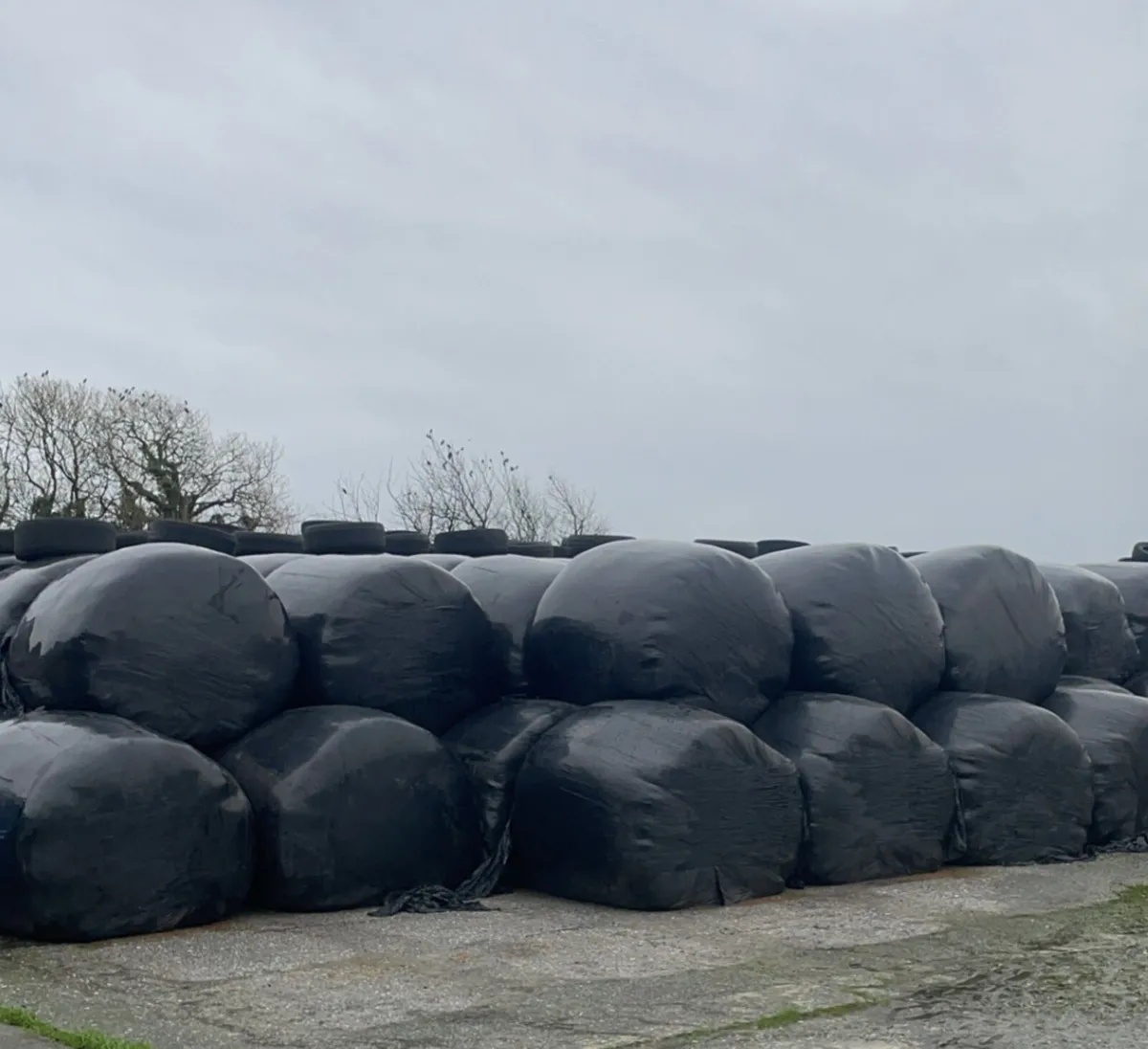 Silage Bales - Image 2