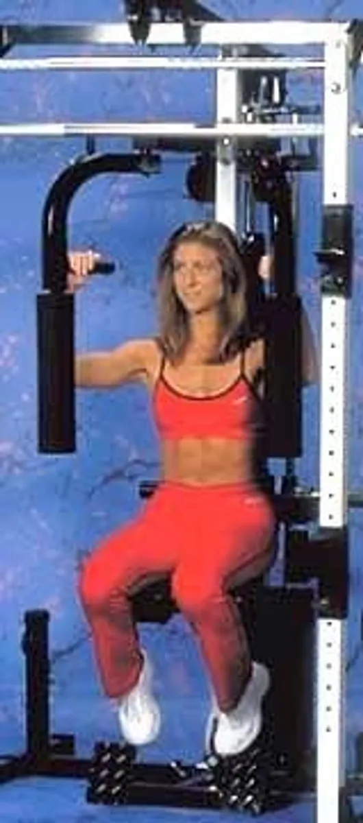 Yukon Caribou III Professional Home Gym: smith machine, Olympic bars, 200lb stack, lat system, pec dec, etc - Image 2