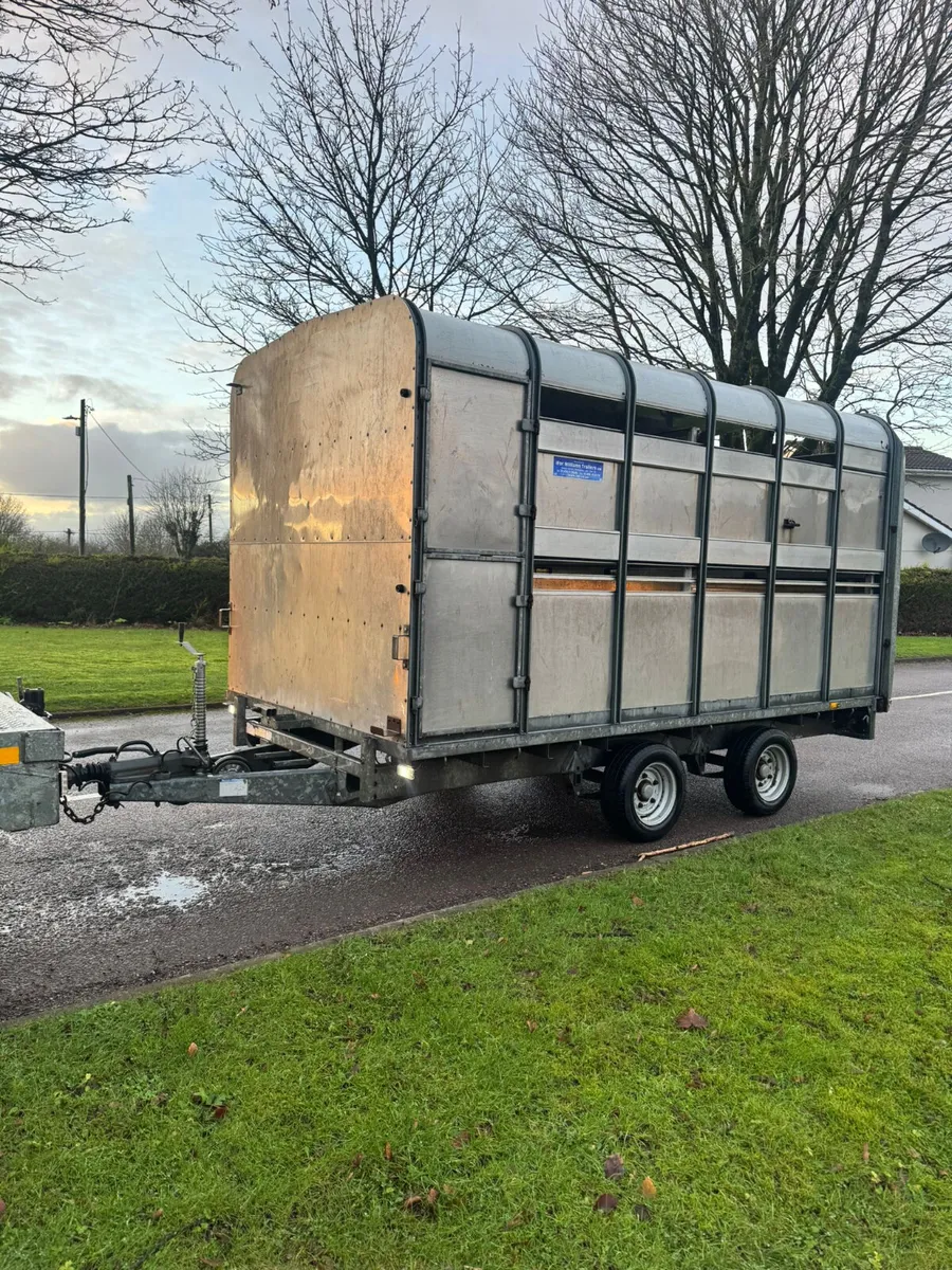 Ifor williams cattle box 12x6 - Image 3