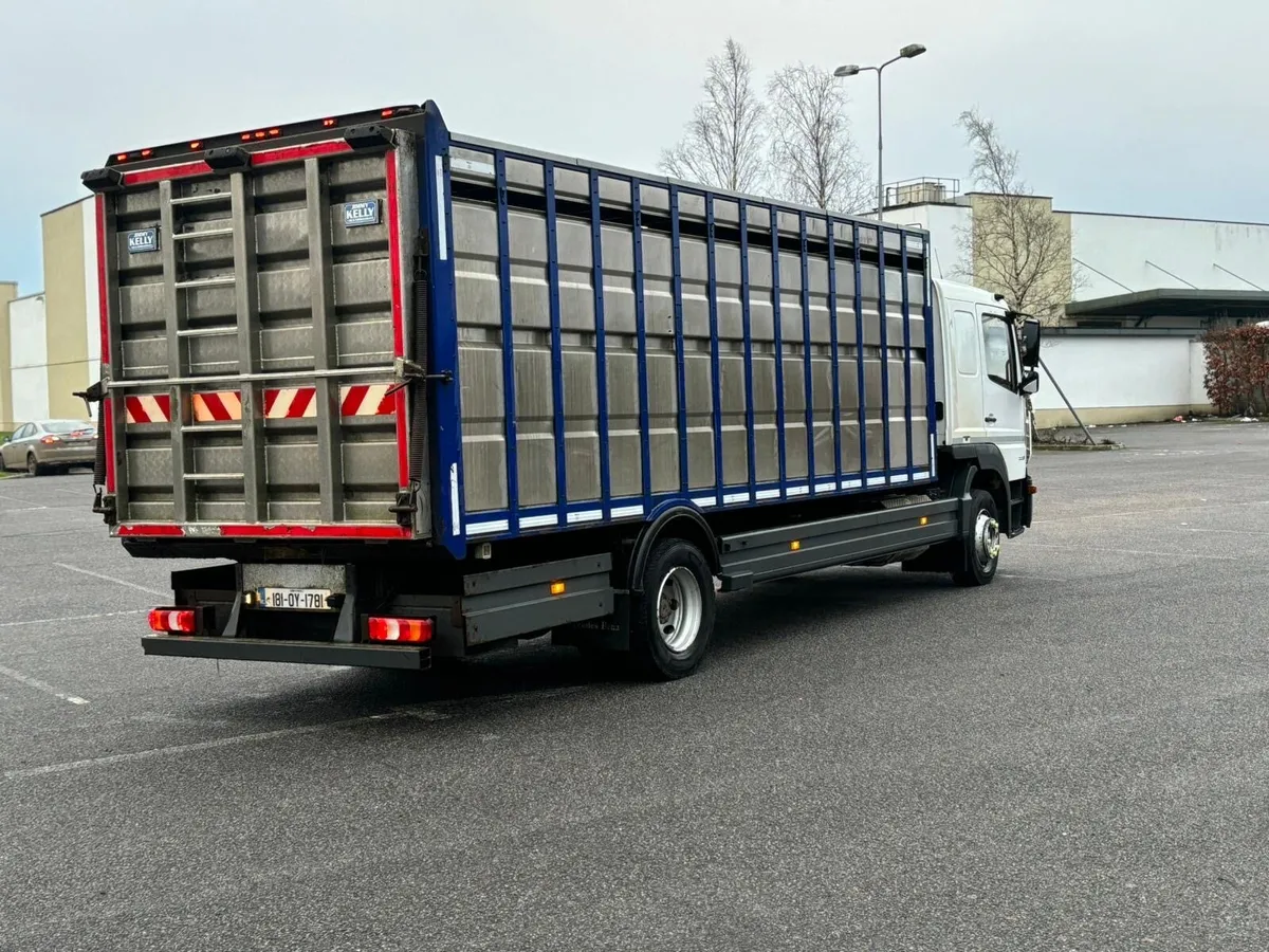 2018 Mercedes Cattle truck for sale - Image 4