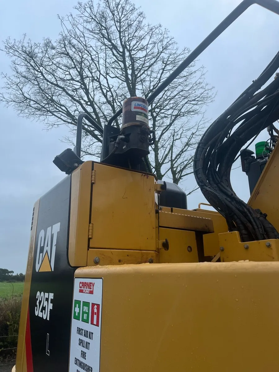 Caterpillar - Image 4