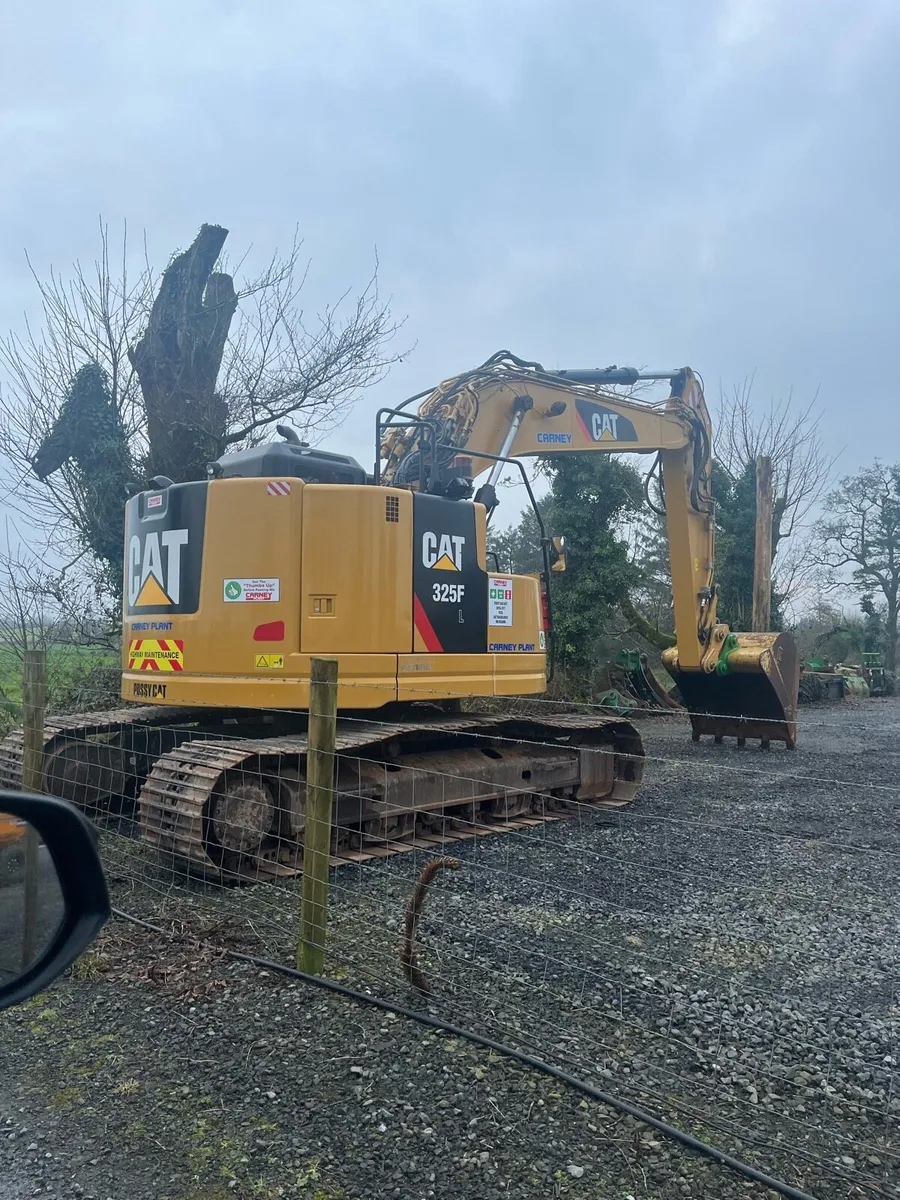 Caterpillar - Image 2