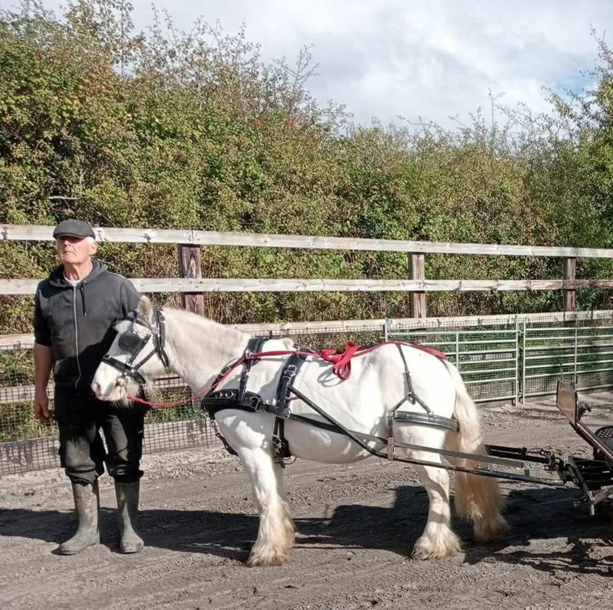 Mini Driving Cob ***Reduced*** - Image 1