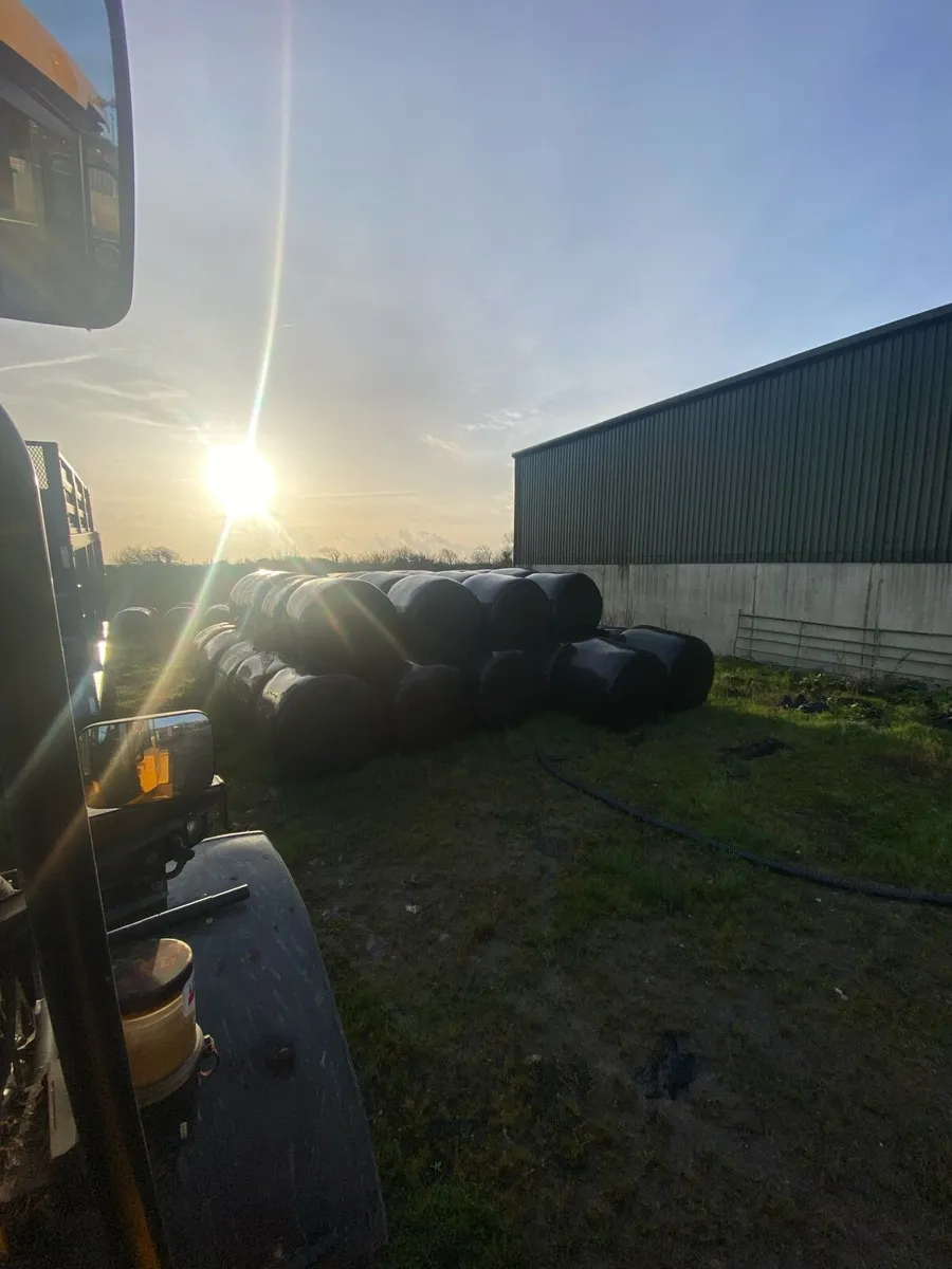 Organic Haylage - Image 1