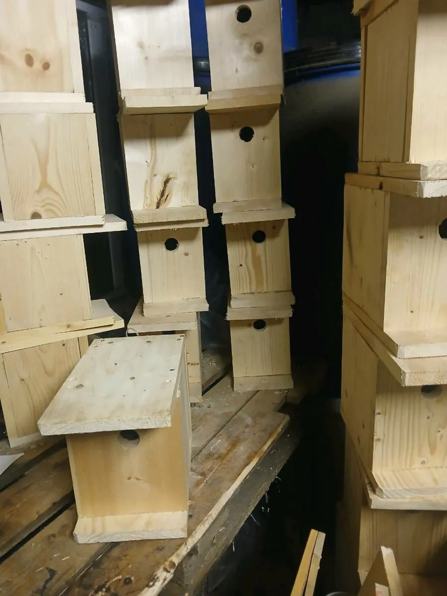 Bird boxes for sale - Image 1