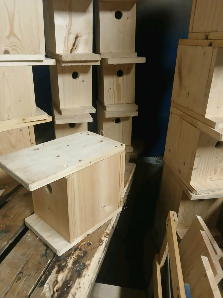 Bird boxes for sale - Image 4