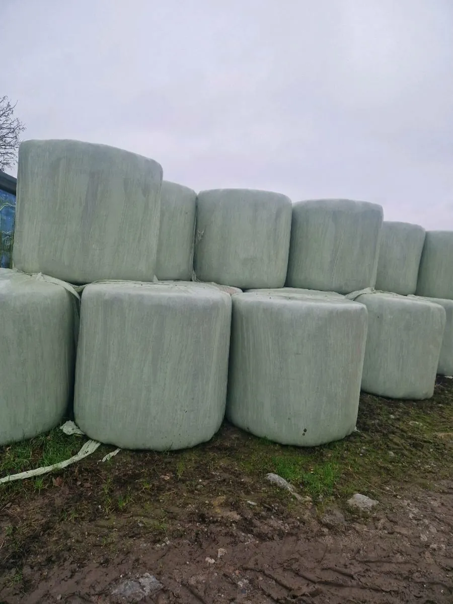 20 bales of average quality silage - Image 2