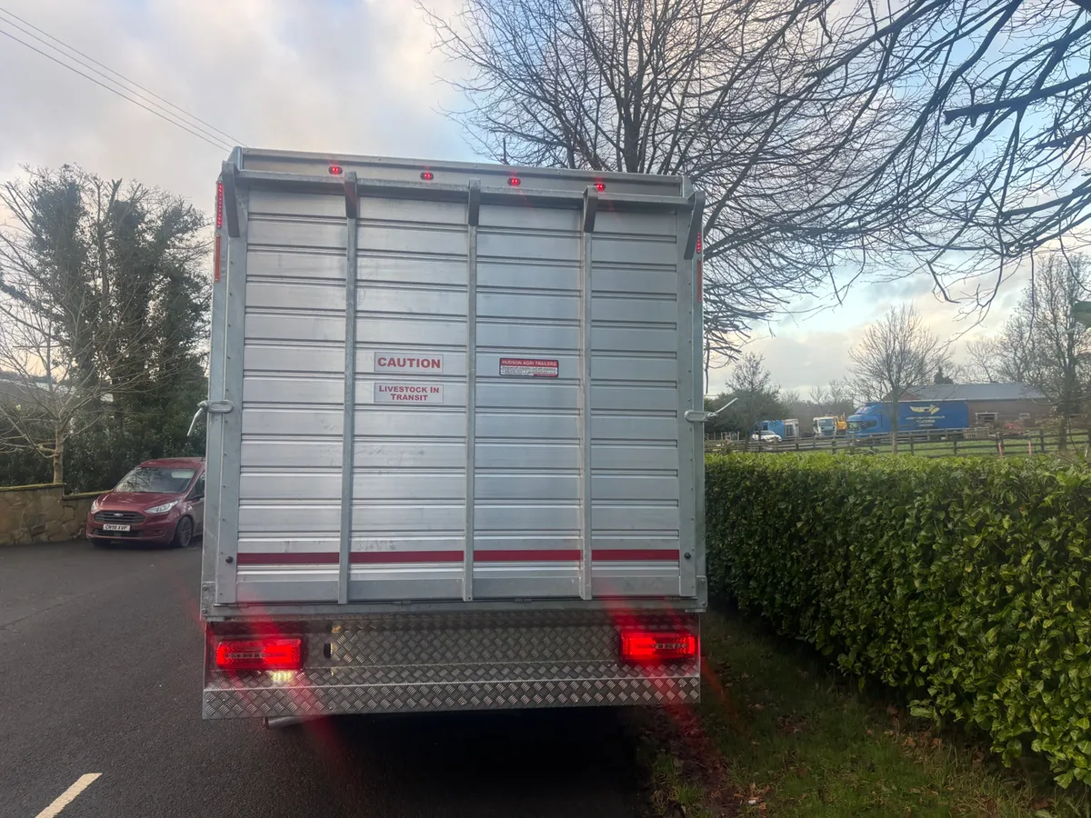 Daf lf cattle lorry - Image 4