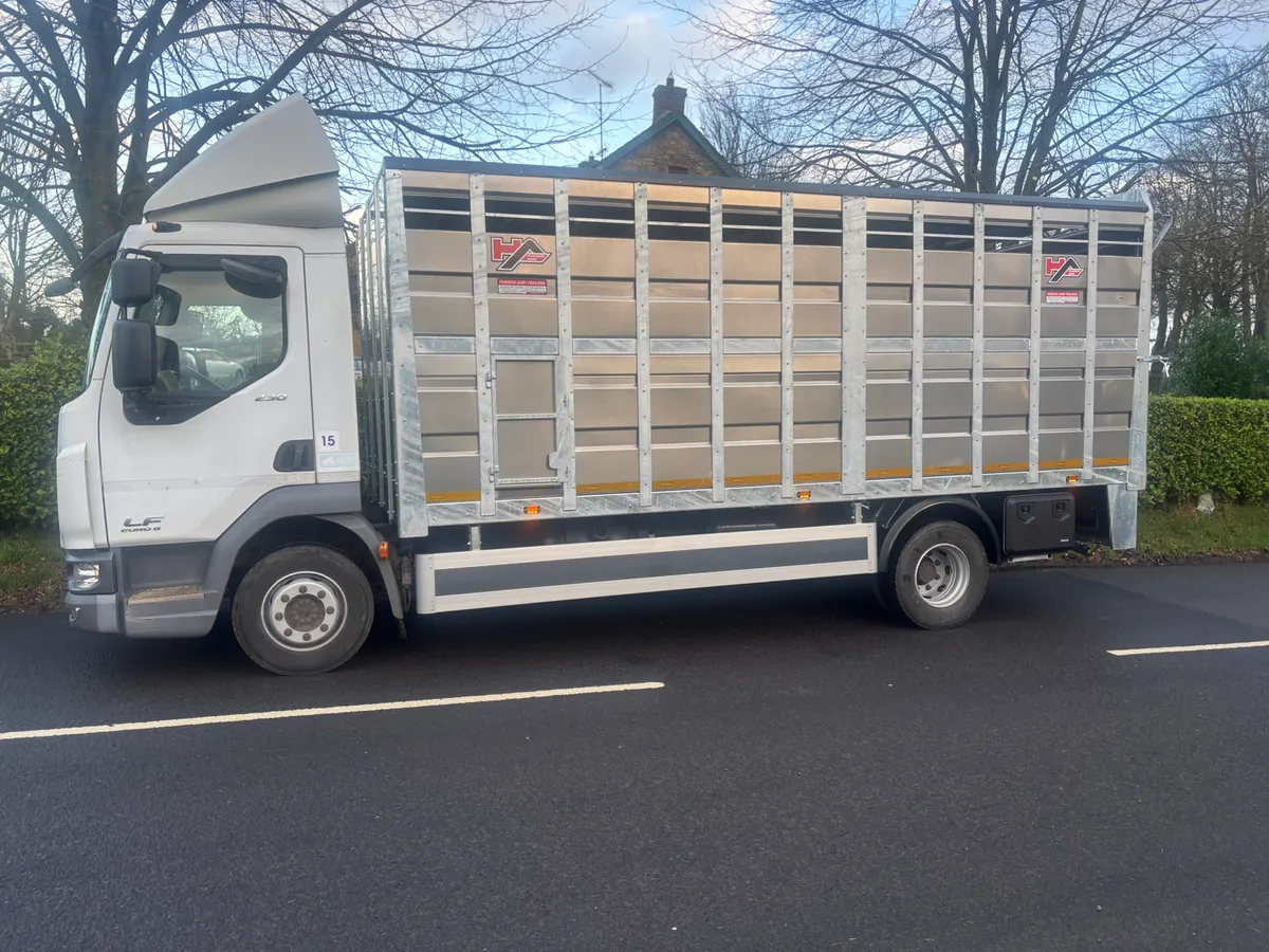 Daf lf cattle lorry - Image 2