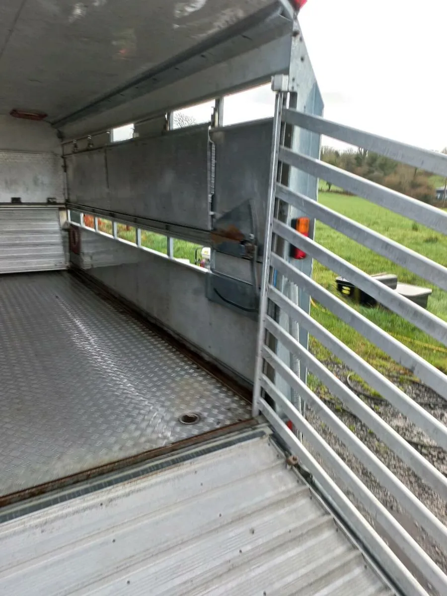Ifor williams 14ft cattle sheep trailer - Image 2