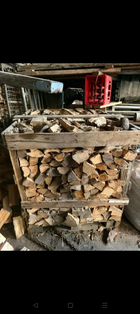 Firewood - Image 3