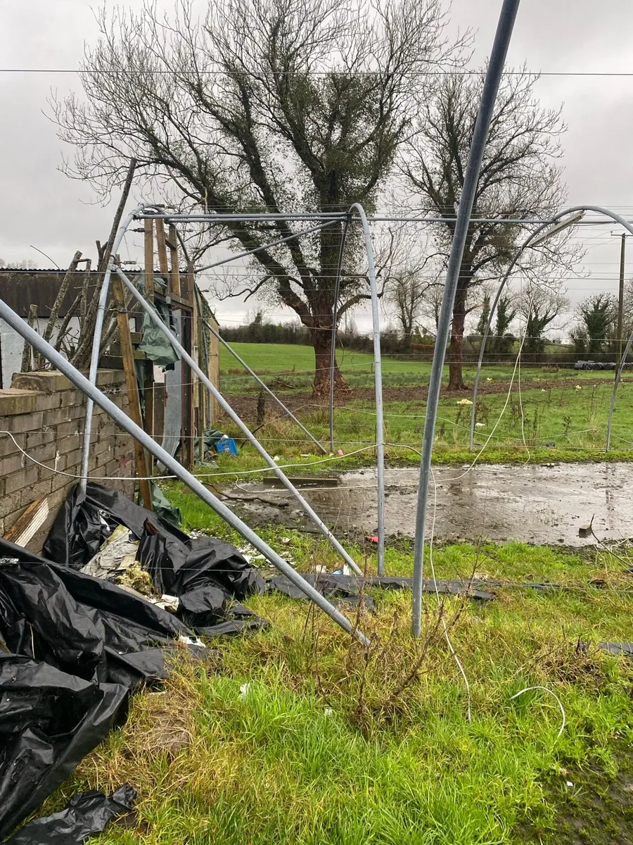 Mushroom houses - Image 1