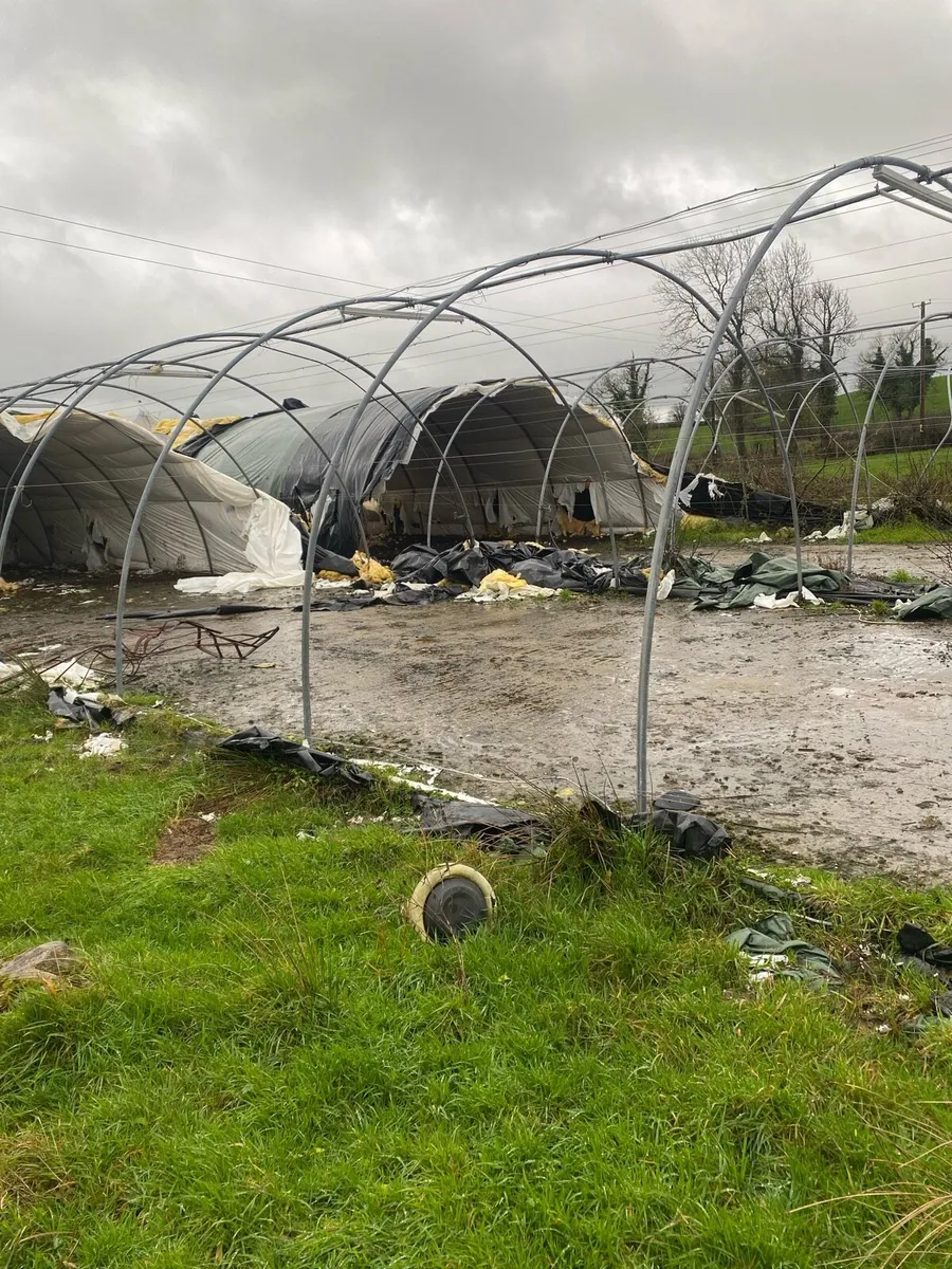 Mushroom houses - Image 2