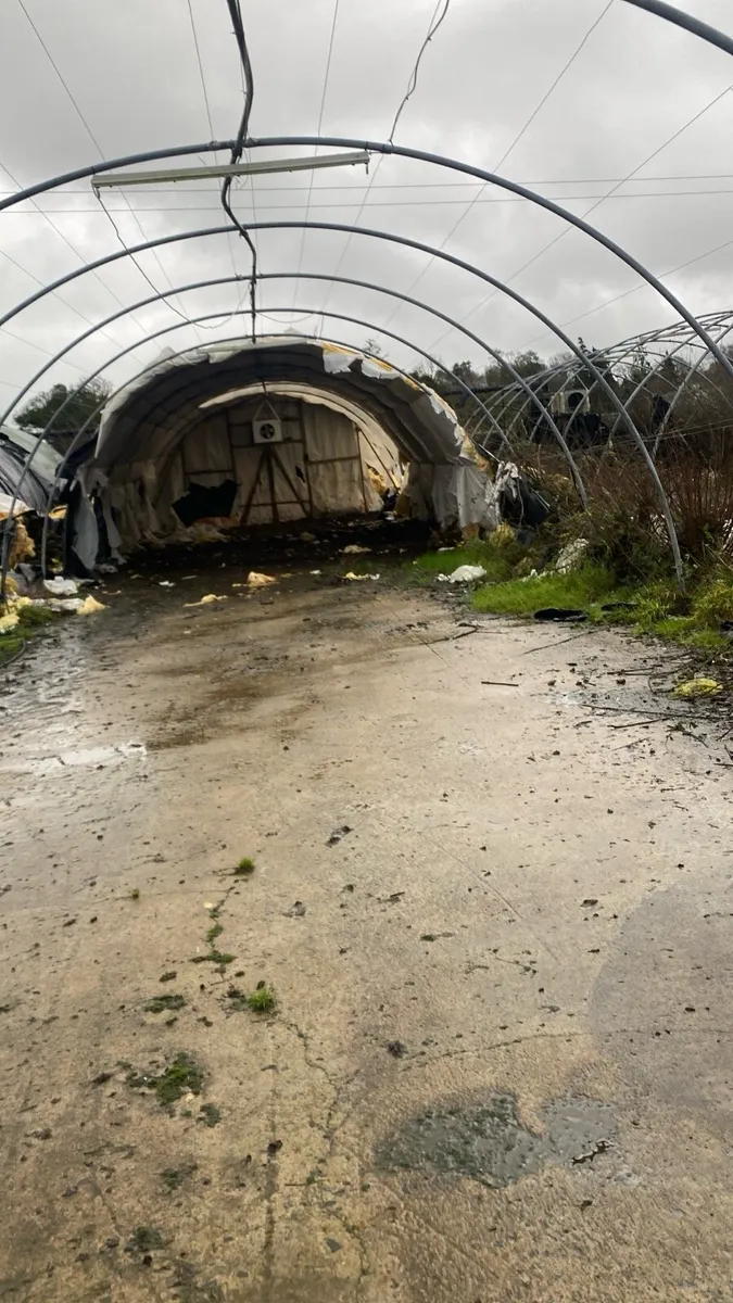 Mushroom houses - Image 4