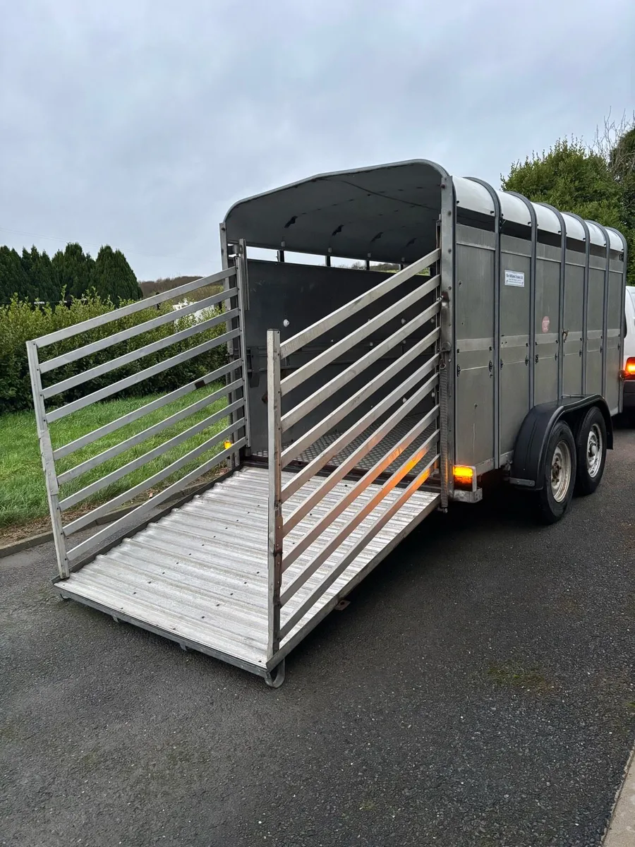 Ifor Williams 12x6 cattle box - Image 2