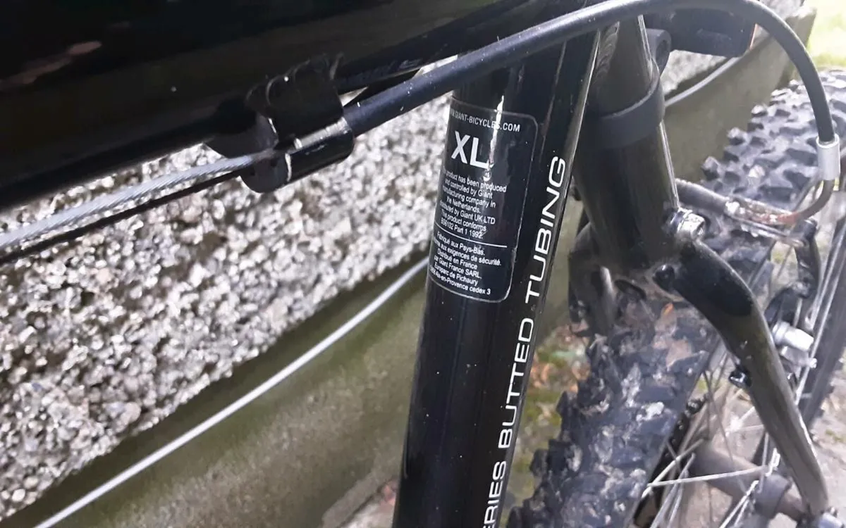 Boys/gents mountain bike - Image 2