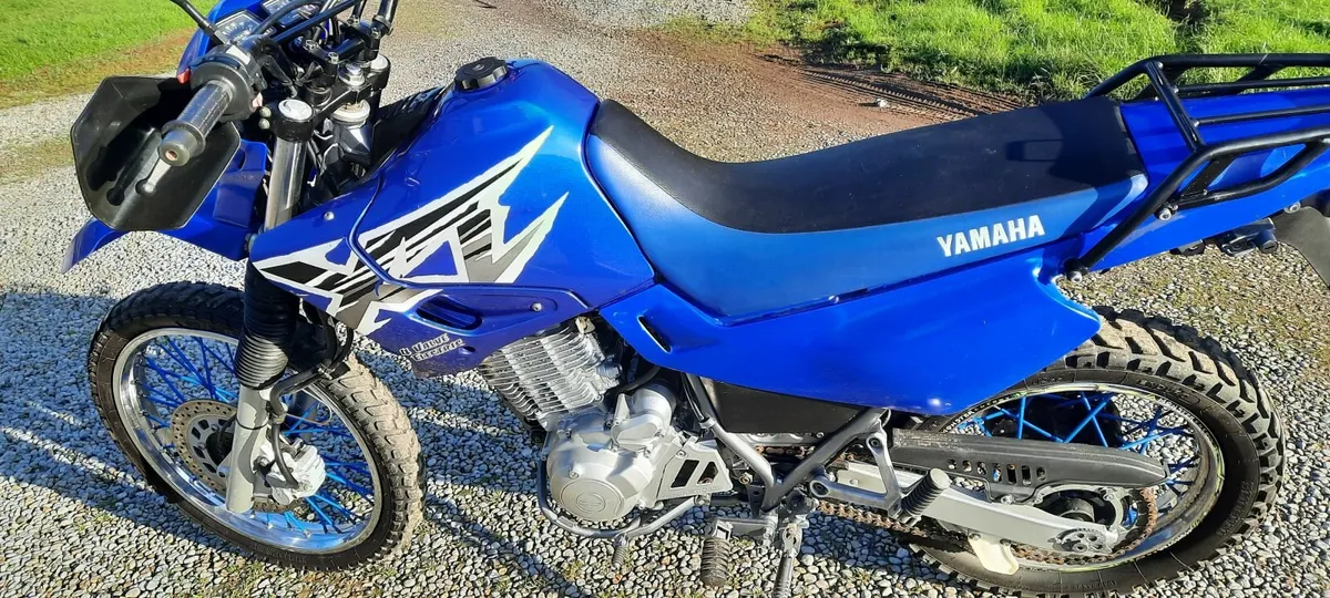 Yamaha xt 600 - Image 4