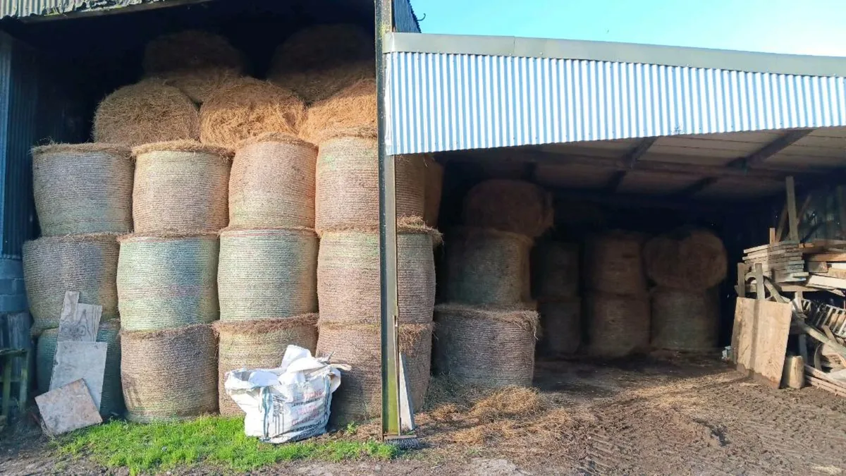 Top quality  hay - Image 1