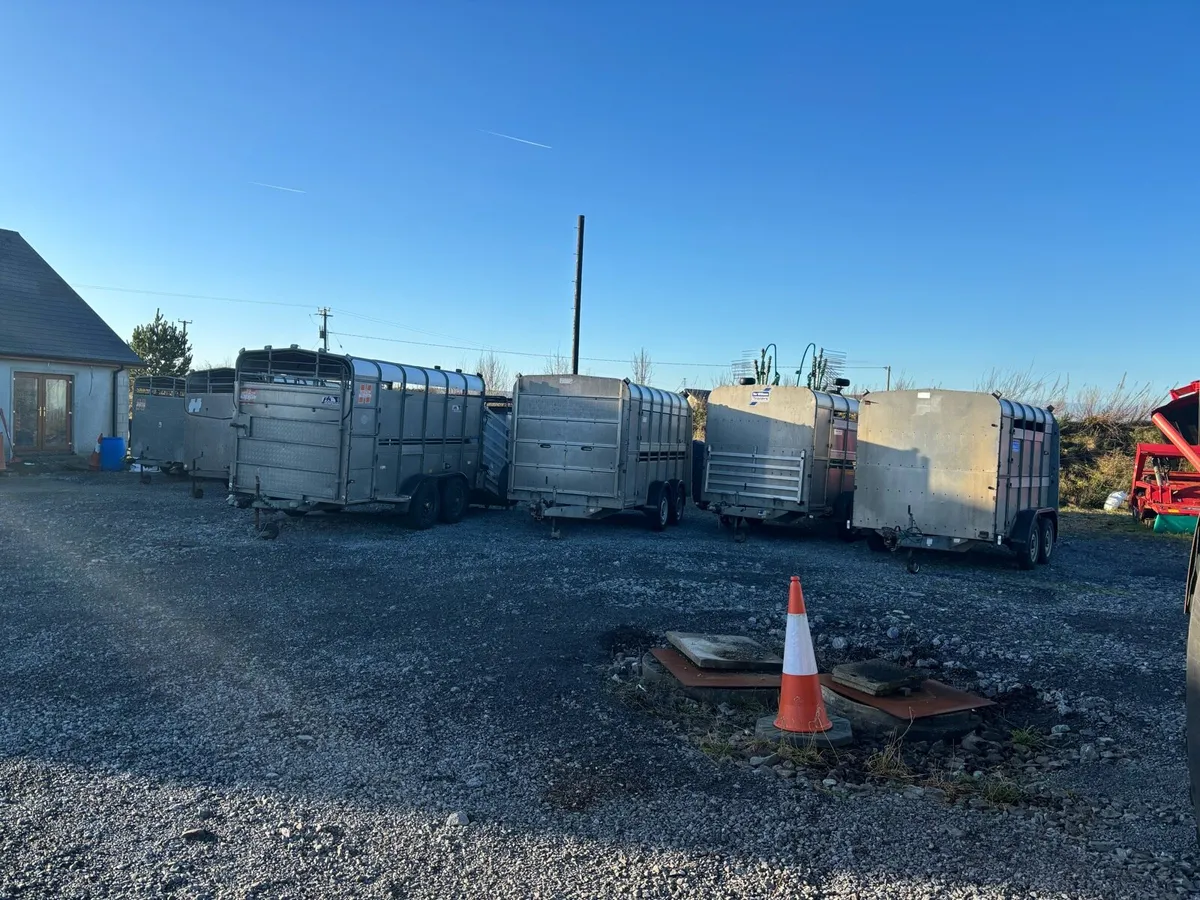 Selection of Hudson & Ifor Williams 10x6 & 12x6 - Image 1