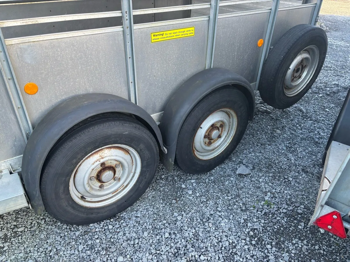 Selection of Hudson & Ifor Williams 10x6 & 12x6 - Image 3