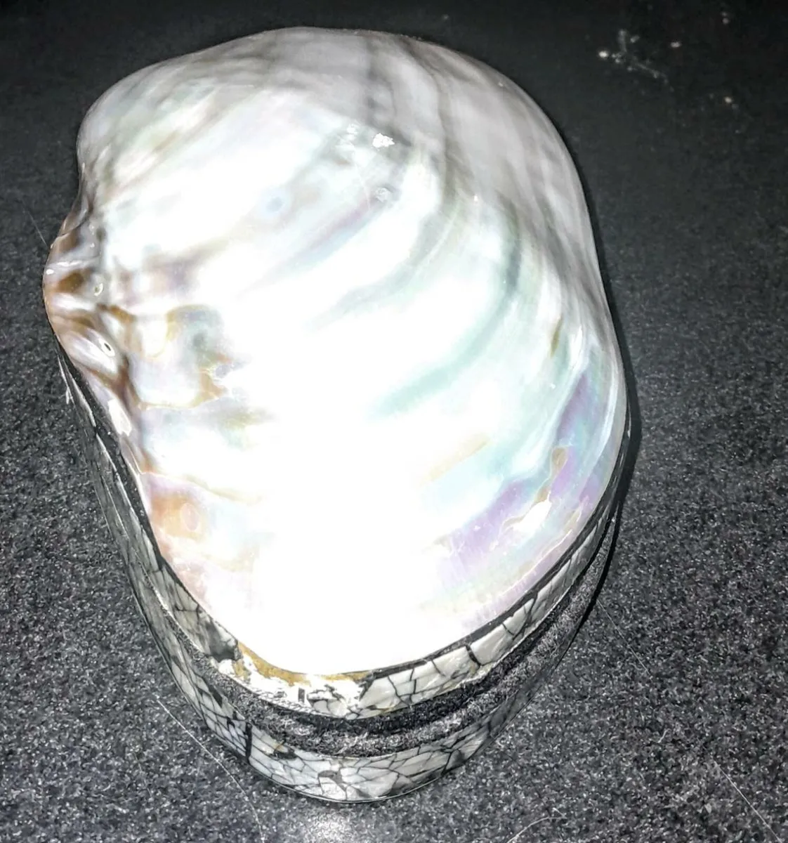 Large real shell jewellery box - Image 1