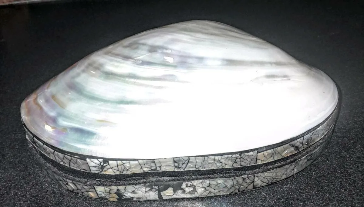 Large real shell jewellery box - Image 2