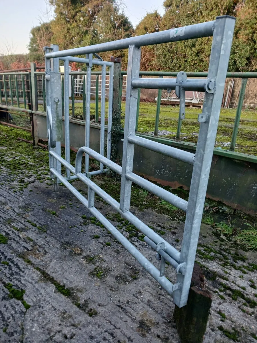 LOADER BUCKETS AND CALVING GATE - Image 4