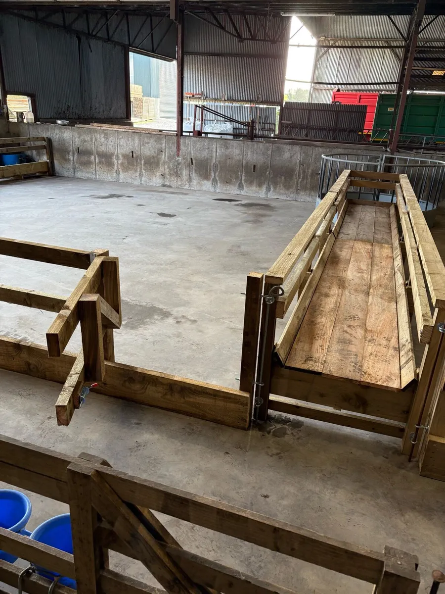 Sheep housing - Image 4