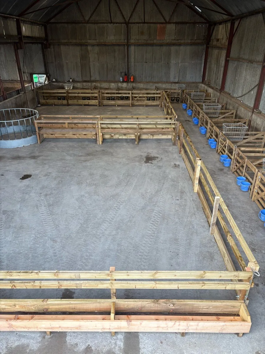 Sheep housing - Image 1