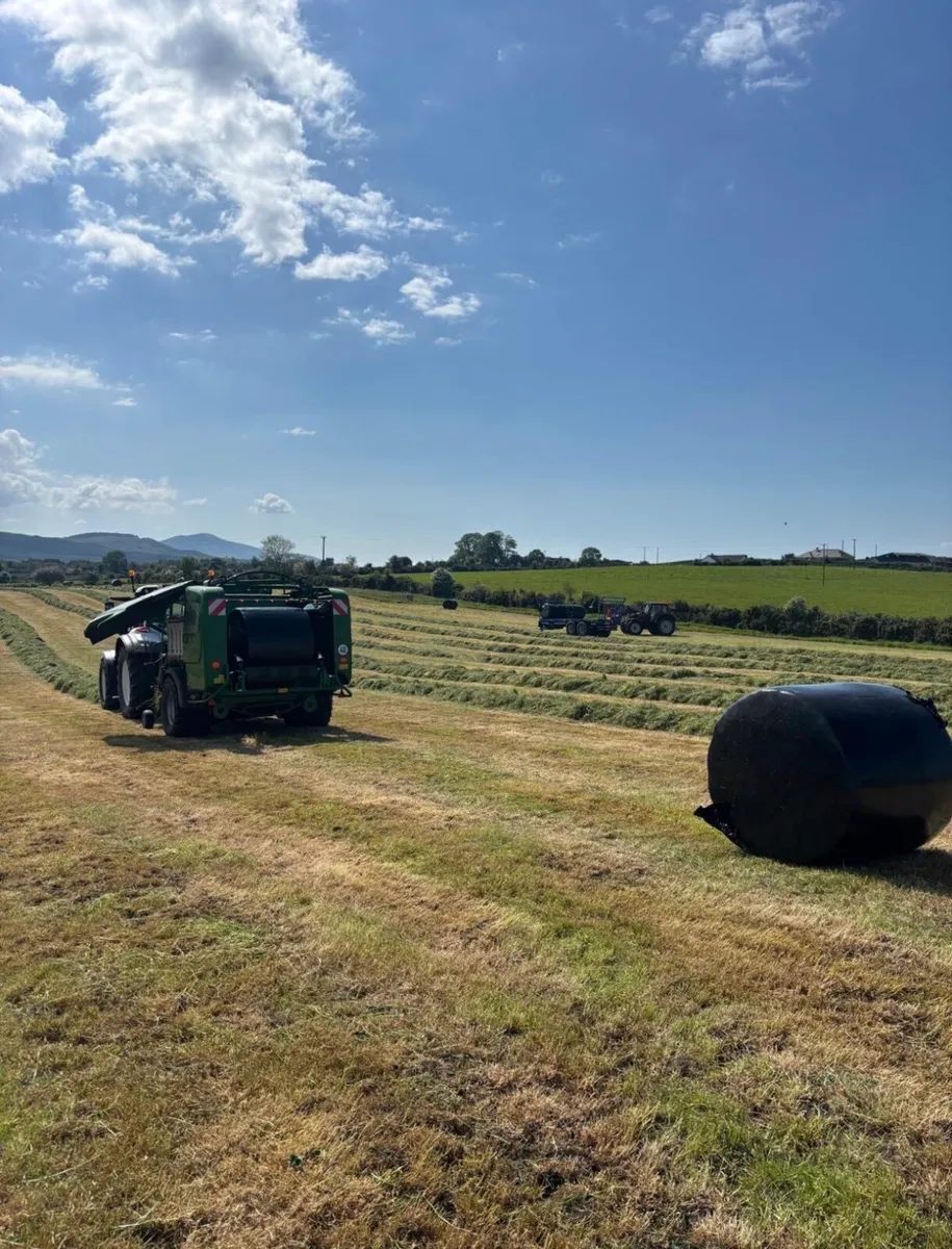 Silage bales - Image 3