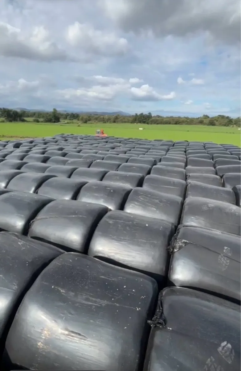 Silage bales - Image 1