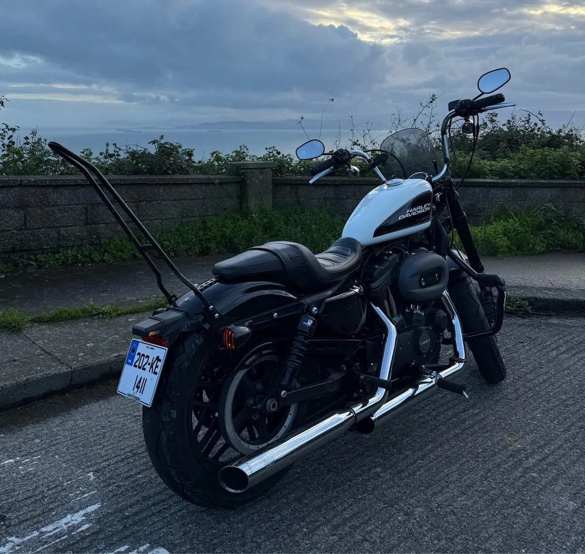 Harley Davidson roadster sportster 1200 - Image 4