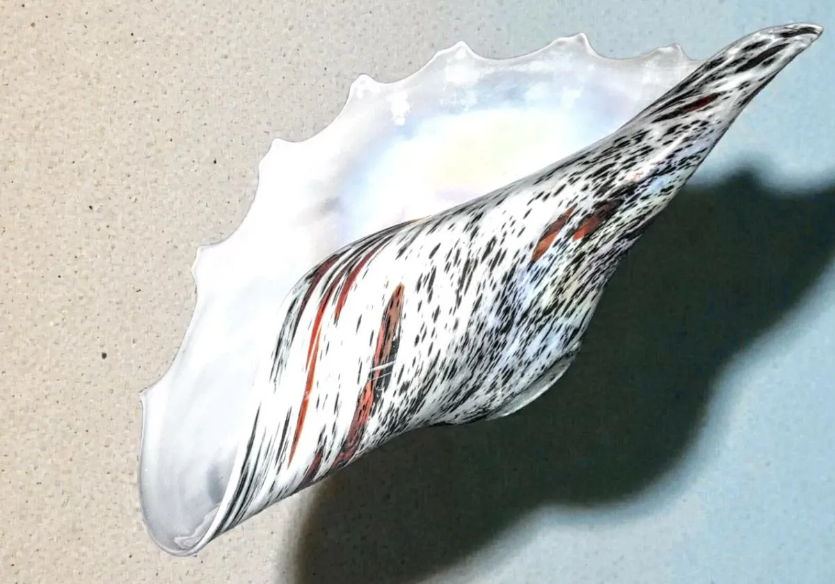 Massive speckled glass shell centrepiece - Image 1