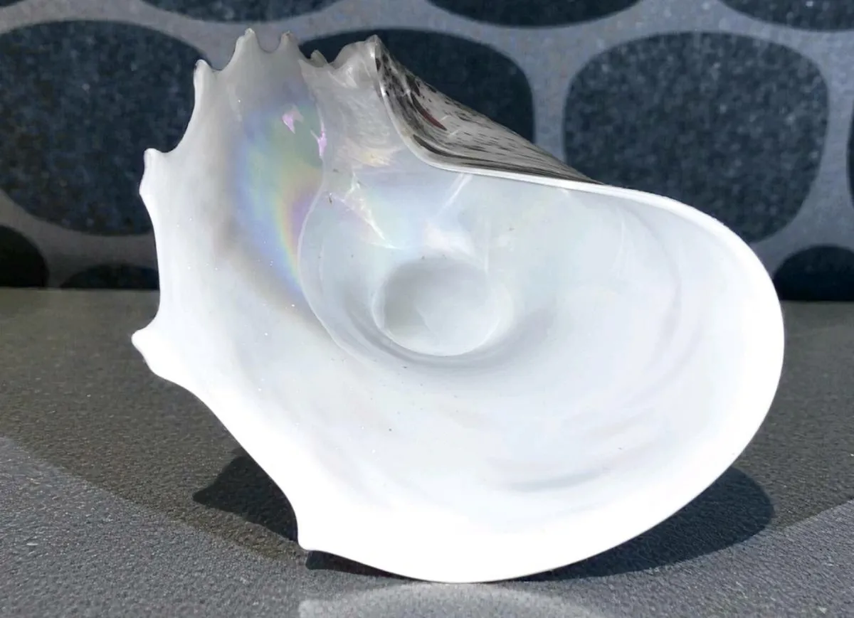 Massive speckled glass shell centrepiece - Image 3