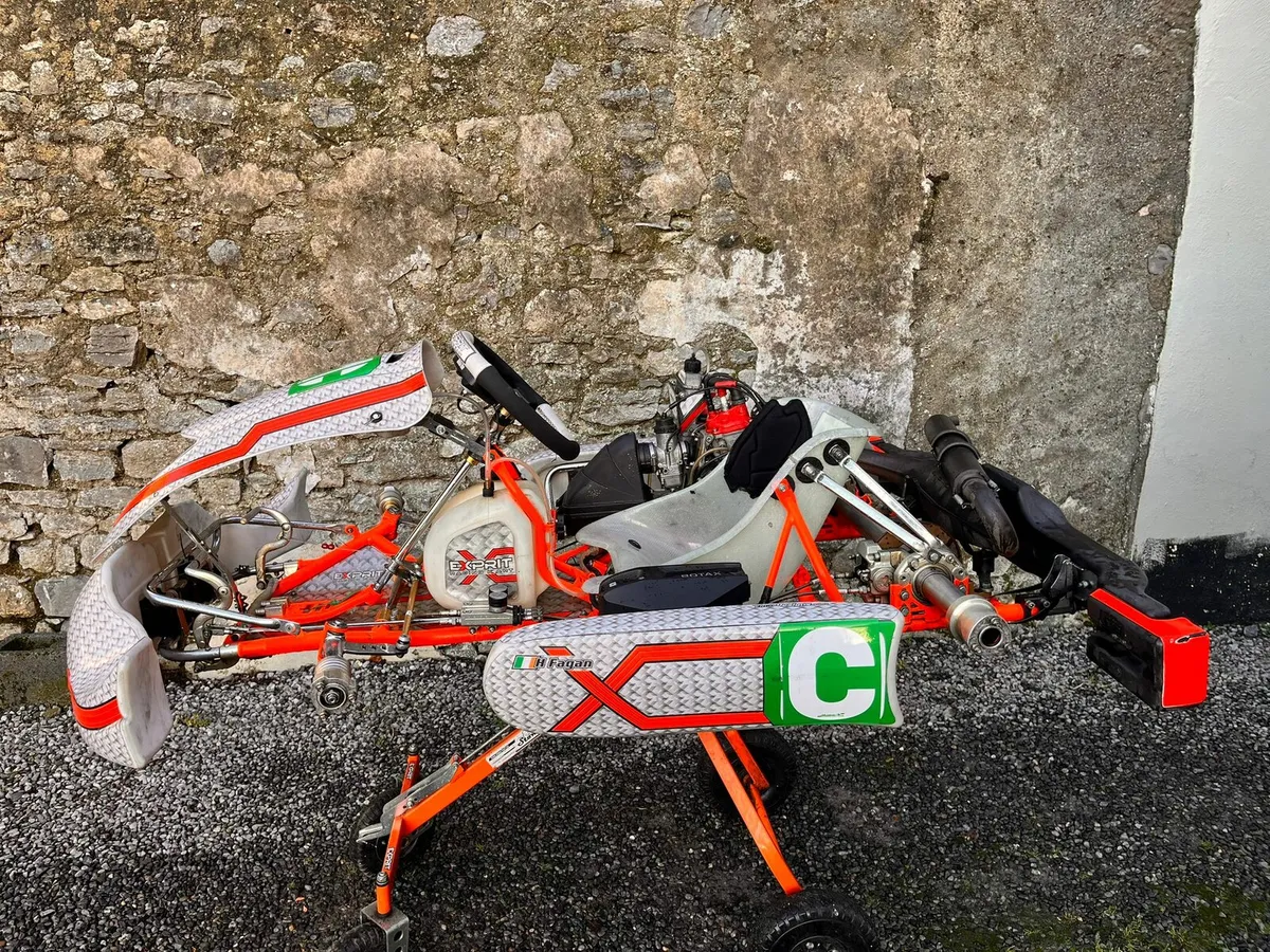 Rotax senior max - Image 3