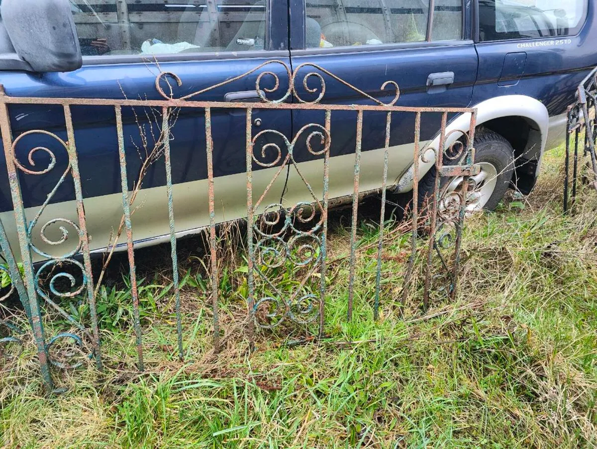 Garden gates - Image 1