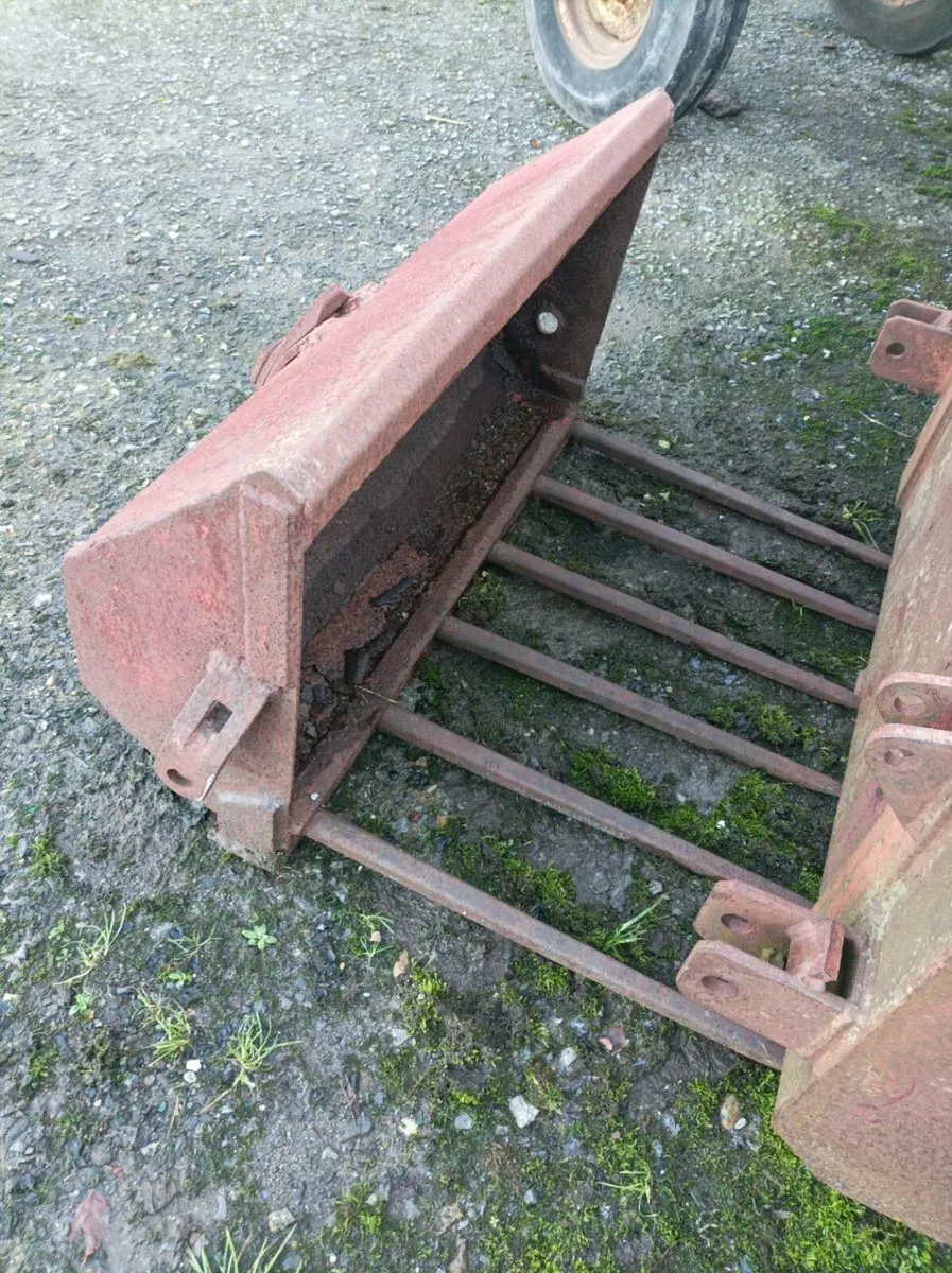 Tine grabs - Image 4