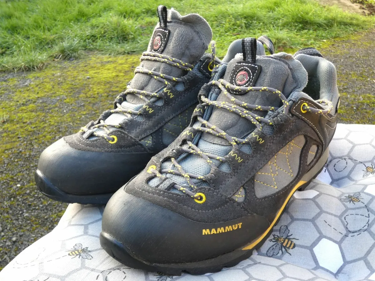 Mammut Ridge Low GTX Hiking Shoes - Image 1