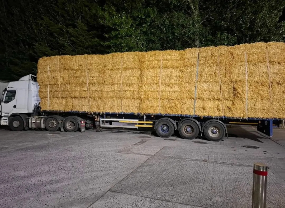 8x4x3s of barley straw for sale and 4x4 - Image 1