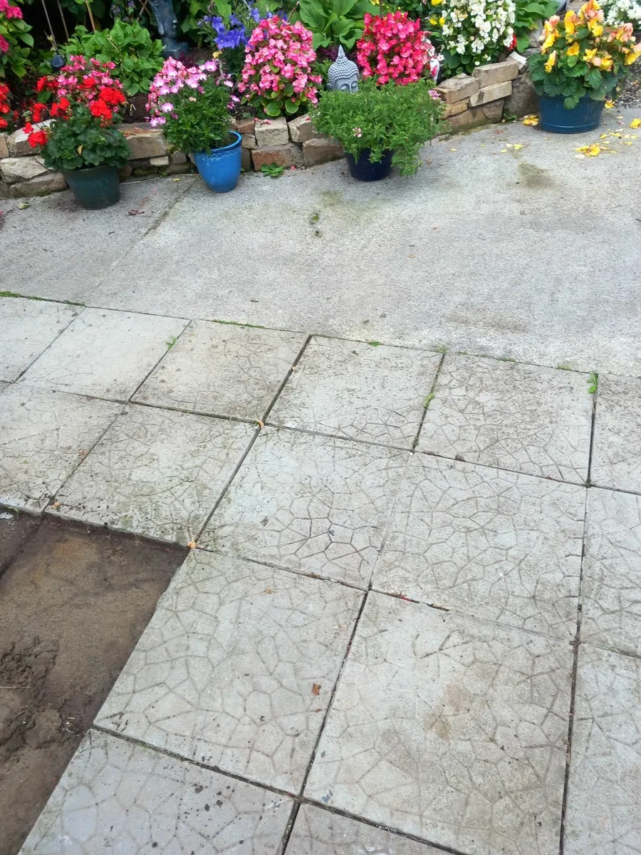 Mini-Digger and driver services - Image 4