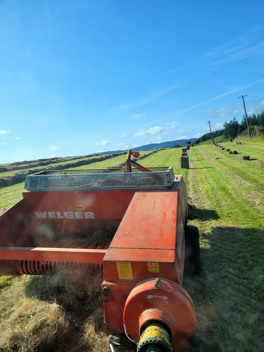 square bales of hay - Image 1