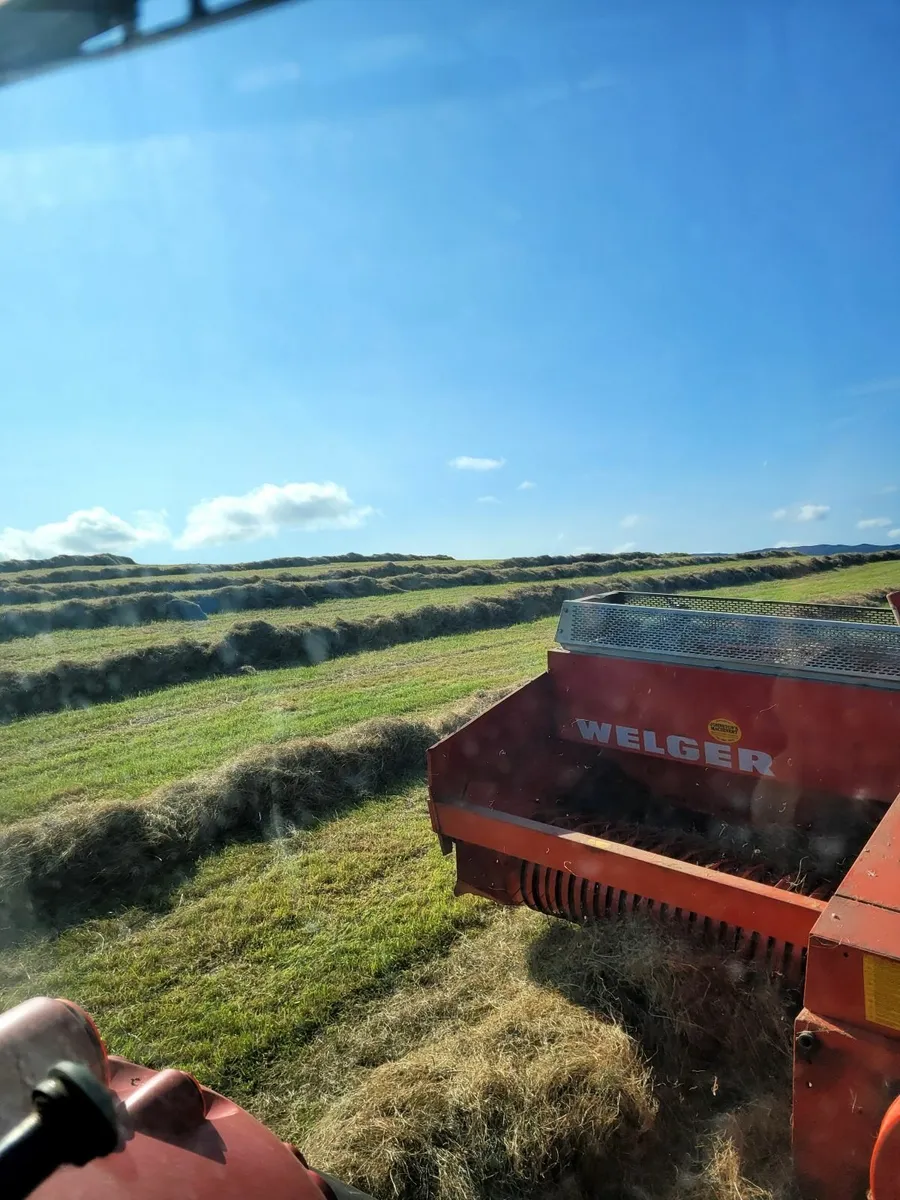 square bales of hay - Image 3
