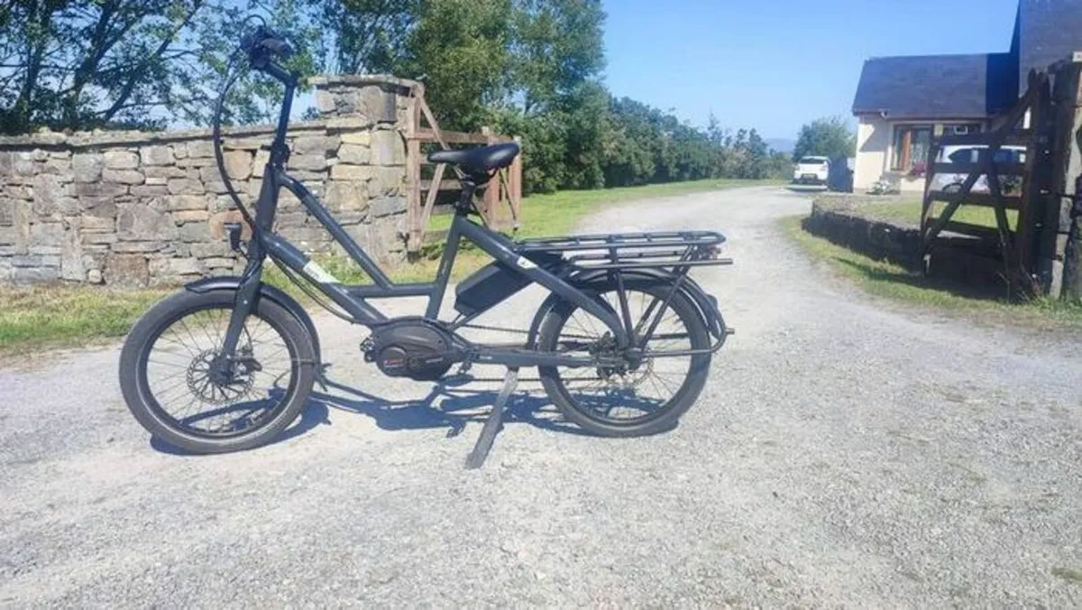 ebike bosch cargo - Image 1