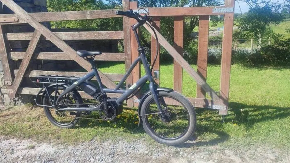 ebike bosch cargo - Image 2