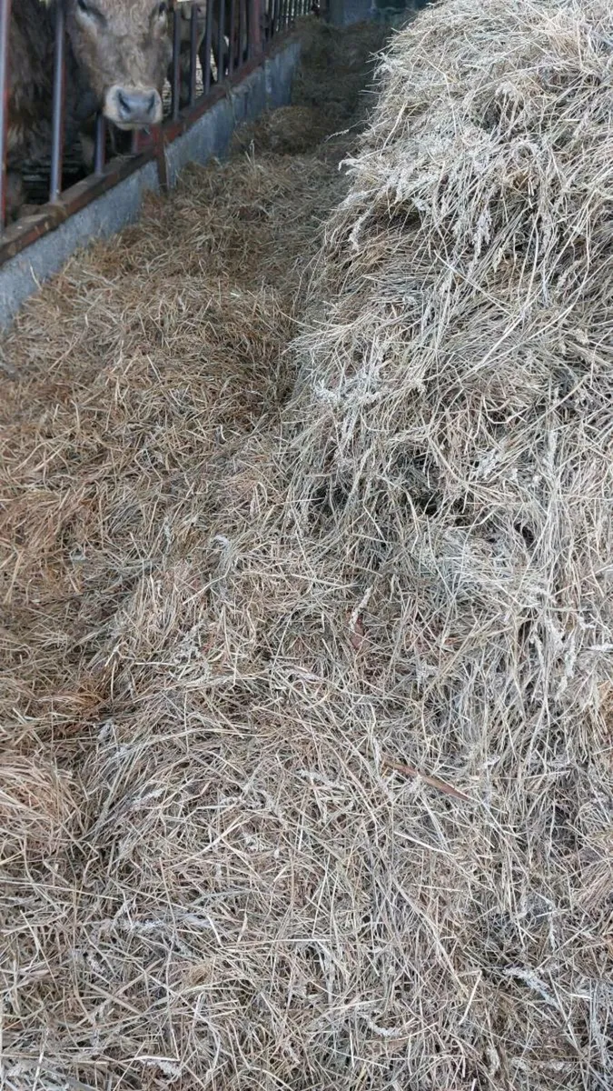 Silage bales - Image 3