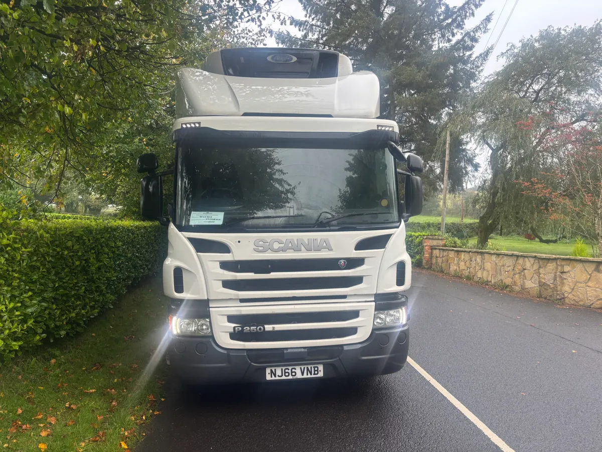 Scania p250 fridge - Image 4