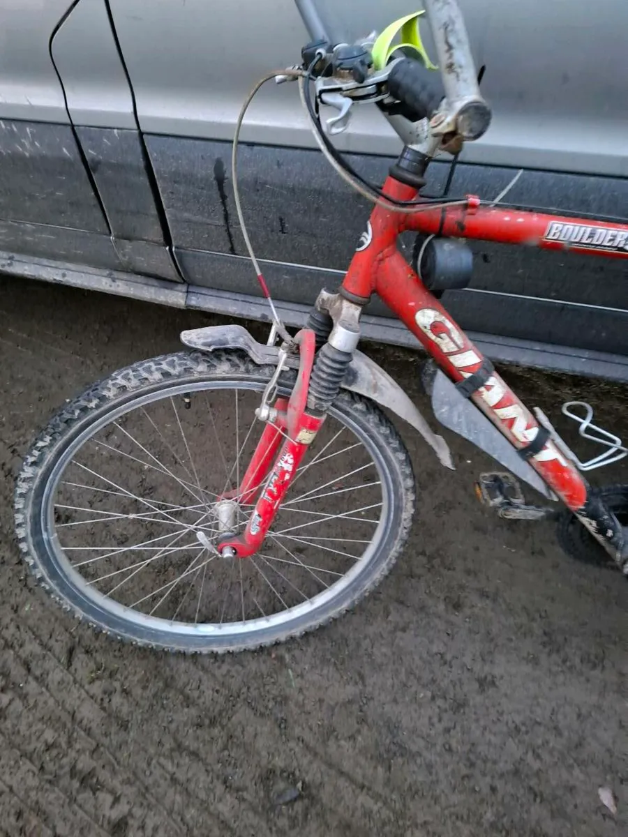 Mountain Bike - Image 1