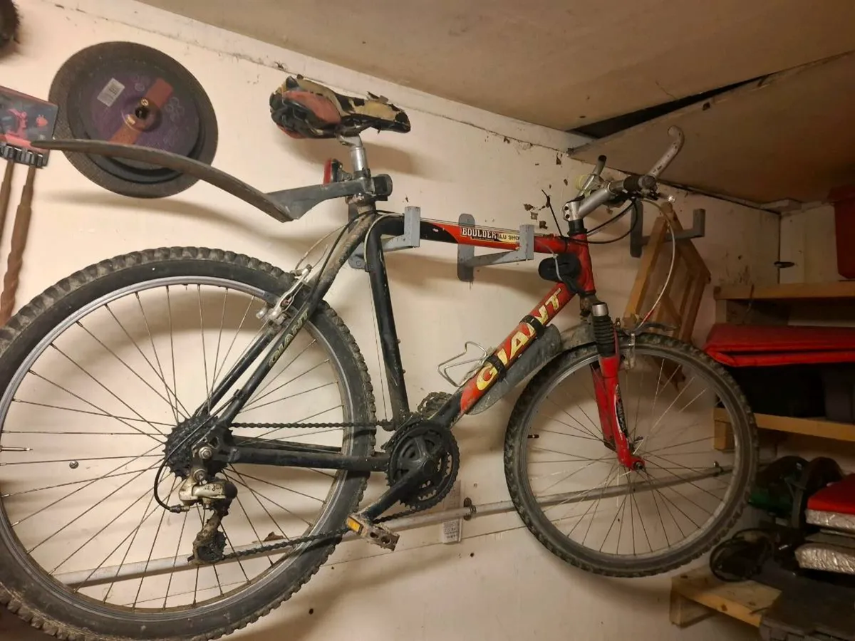 Mountain Bike - Image 3