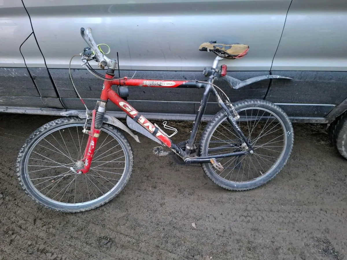 Mountain Bike - Image 2